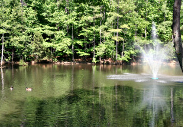 Pond Wiring by Norris Enterprises Electricians in Wilmington, NC